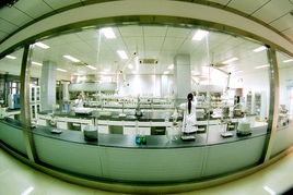 喜旺科技荣膺科技进步奖，技术开发成果获权威认可