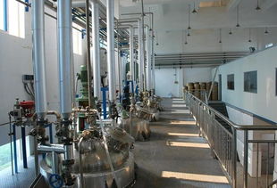 华康生物技术开发图册 创新引领生物科技发展