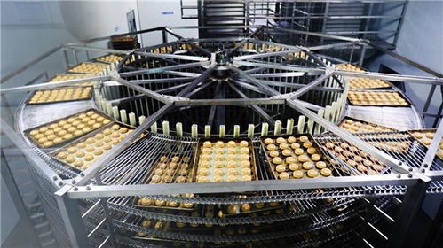 甩开历史包袱，走好三条路 稻香村集团以技术开发引领高质量发展